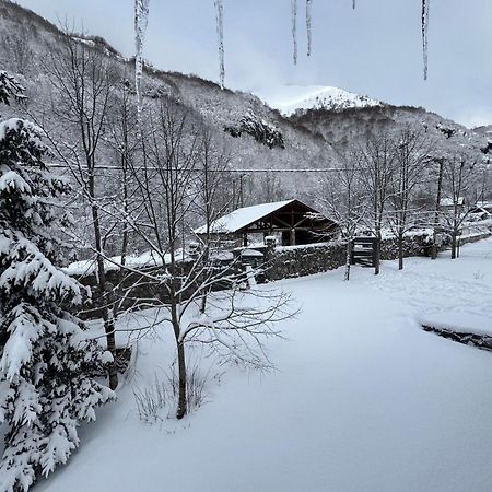 Vila Vikendice Biocinovici Kolašin Exteriér fotografie