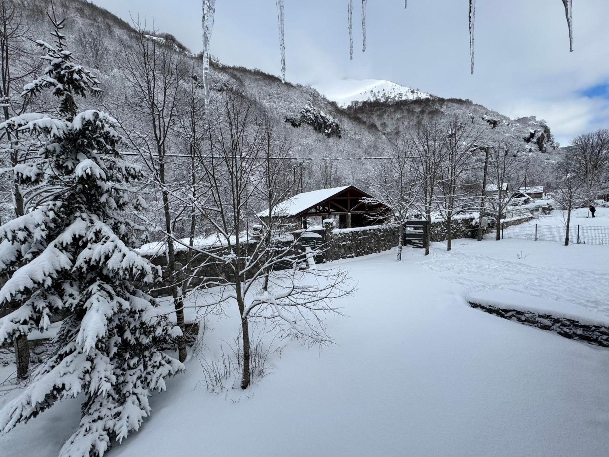 Vila Vikendice Biocinovici Kolašin Exteriér fotografie